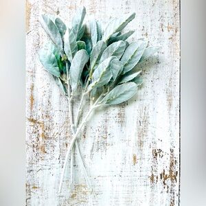 Frosted Lamb’s Ear Pick, 15” Bundle of 3